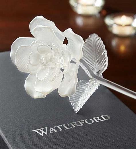 waterford crystal long stem rose.